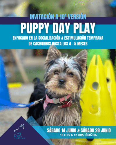 Puppy Day Play - Sábado 05 de Julio