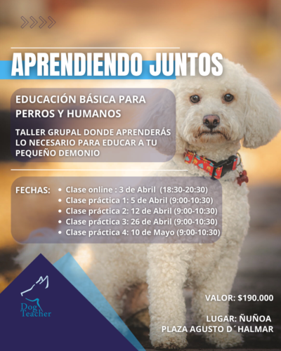 Taller Grupal Aprendiendo Juntos - Imagen 2