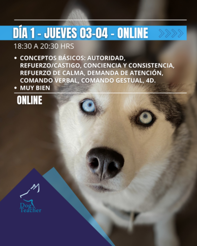 Taller Grupal Aprendiendo Juntos - Imagen 3