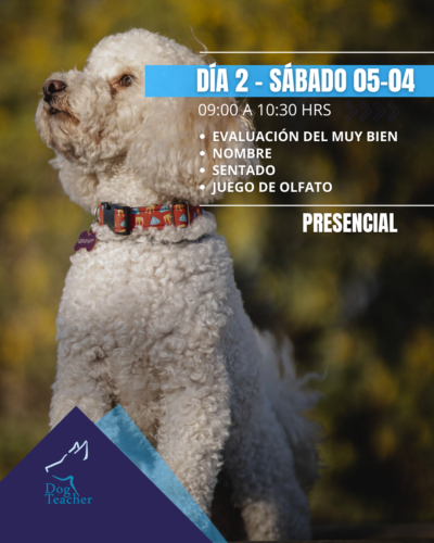 Taller Grupal Aprendiendo Juntos - Imagen 4