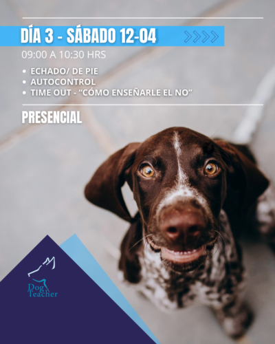 Taller Grupal Aprendiendo Juntos - Imagen 5