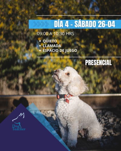 Taller Grupal Aprendiendo Juntos - Imagen 6