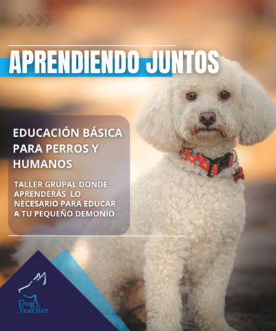 Taller Grupal Aprendiendo Juntos