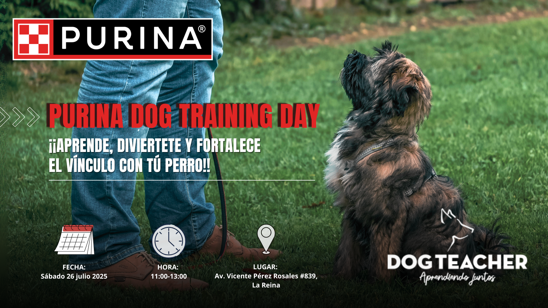 Curso de Entrenamiento Purina