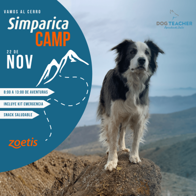 Simparica Camp - vamos al cerro