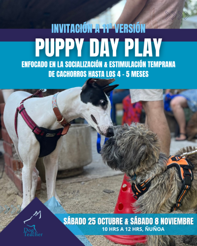 Puppy Day Play - Pack 2 días Sábado 25 Octubre y 8 de Noviembre